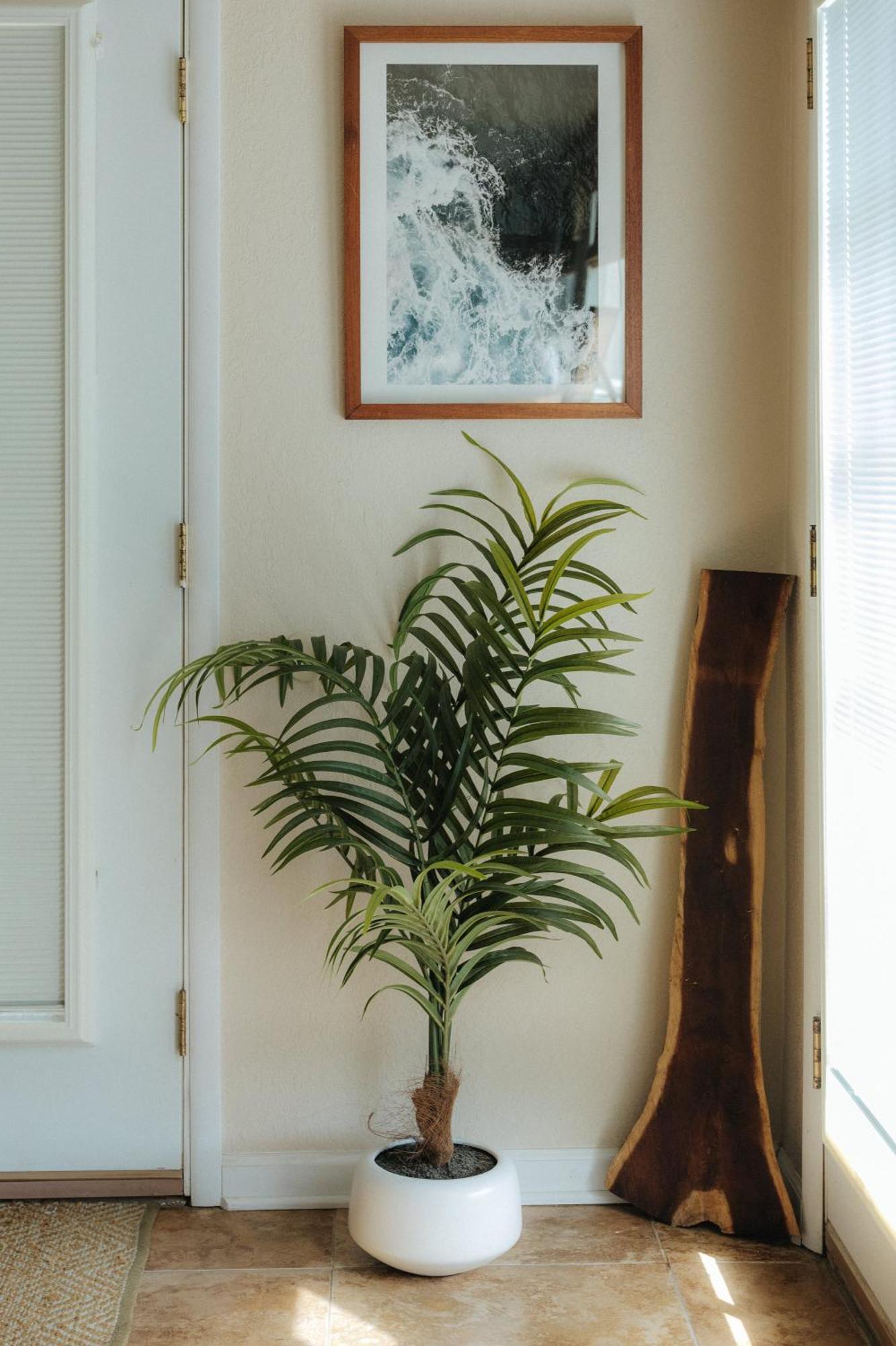 The Ohia At The Koi House Apartment Kailua-Kona Bagian luar foto